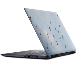 Foils for Laptops matt