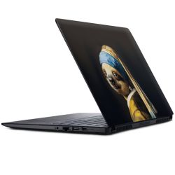 Foils for Laptops matt