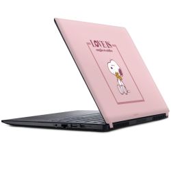 Foils for Laptops matt