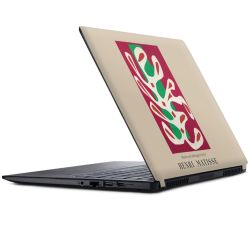 Foils for Laptops matt