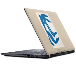 Foils for Laptops matt