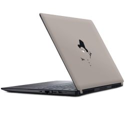 Foils for Laptops matt