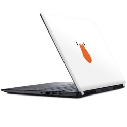 Foils for Laptops matt