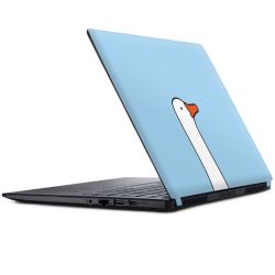 Foils for Laptops matt