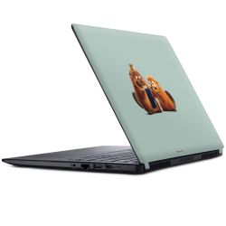 SkinVinyyli Läppäreille mattapinta