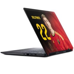 Foils for Laptops matt