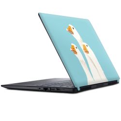 Foils for Laptops matt