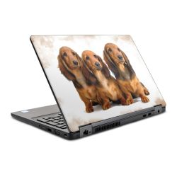 Foils for Laptops glossy