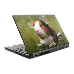 Foils for Laptops glossy