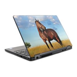 Foils for Laptops glossy
