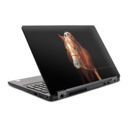 Foils for Laptops glossy