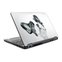 Foils for Laptops glossy