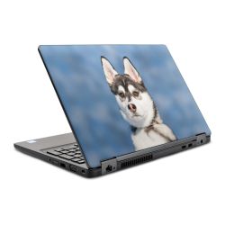 Foils for Laptops glossy
