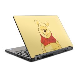 Foils for Laptops glossy