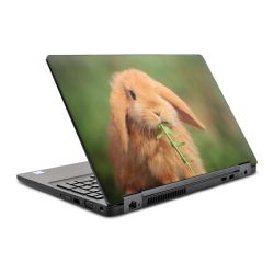 Foils for Laptops glossy
