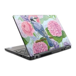 Foils for Laptops glossy