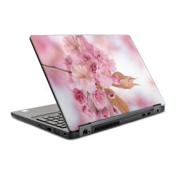 Foils for Laptops glossy