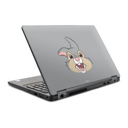 Foils for Laptops glossy