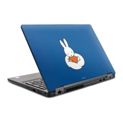 Foils for Laptops glossy