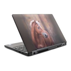 Foils for Laptops glossy