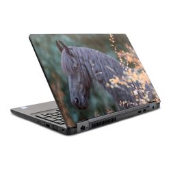 Foils for Laptops glossy