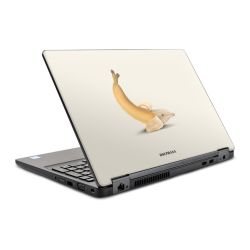 Foils for Laptops glossy