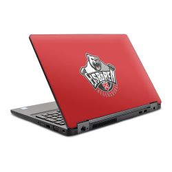 Foils for Laptops glossy