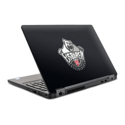 Foils for Laptops glossy