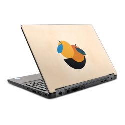 Foils for Laptops glossy