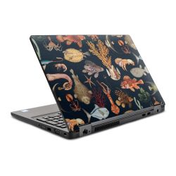 Foils for Laptops glossy