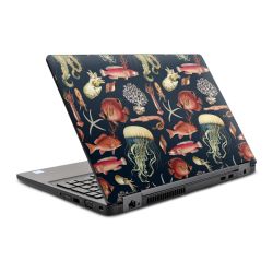 Foils for Laptops glossy