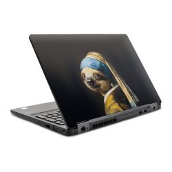Foils for Laptops glossy