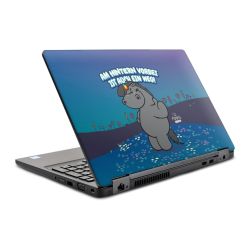 Folien für Laptops matt