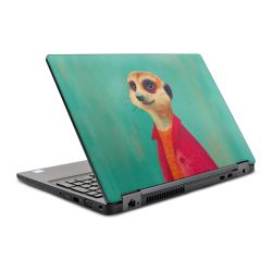 Foils for Laptops matt