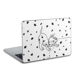 Foils for Laptops matt