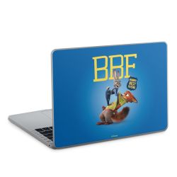 Foils for Laptops matt