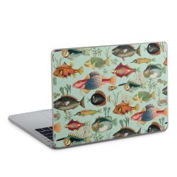 Foils for Laptops matt