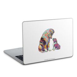 Foils for Laptops matt