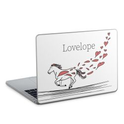 Foils for Laptops matt