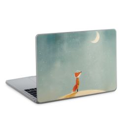 Foils for Laptops matt