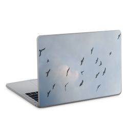 Foils for Laptops matt