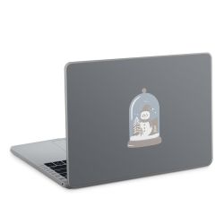 Foils for Laptops matt