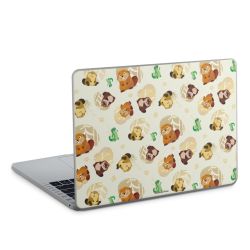 Foils for Laptops matt