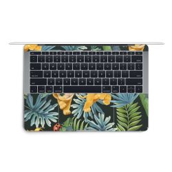 Foils for Laptops matt