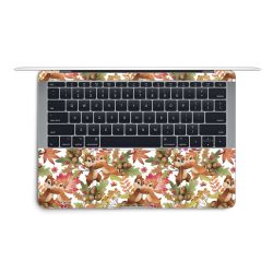 Foils for Laptops matt