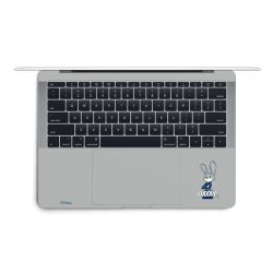 Foils for Laptops matt