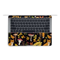 Foils for Laptops matt