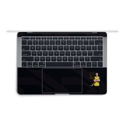 Foils for Laptops matt