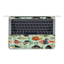 Foils for Laptops matt