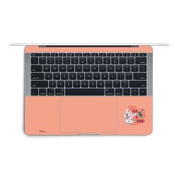 SkinVinyyli Läppäreille mattapinta